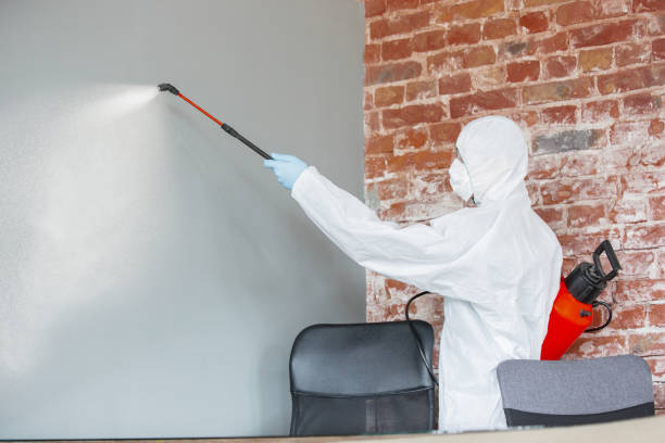 Best Post-Remediation Verification Testing  in Eufaula, OK