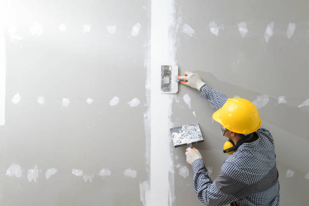 Best Mold Remediation for Rental Properties  in Eufaula, OK